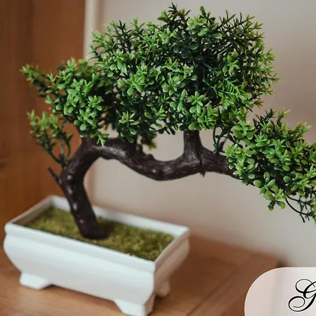 Domus Deianas Two Exclusive Use Apartments In Cagliari Vendégház Cagliari