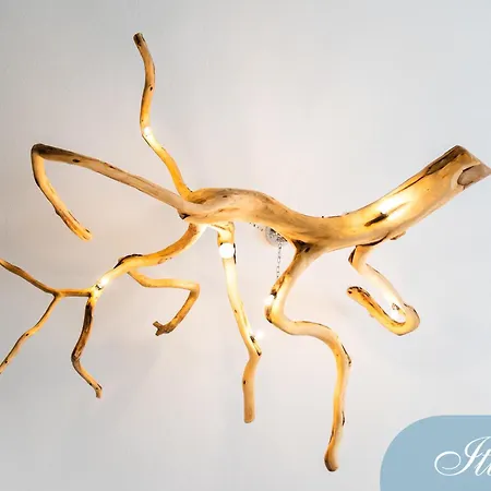 Domus Deianas Two Exclusive Use Apartments In Cagliari