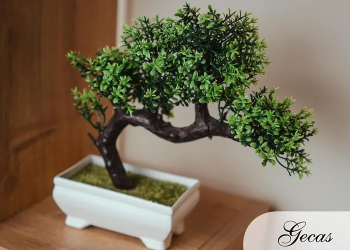 Domus Deianas בית הארחה קליארי