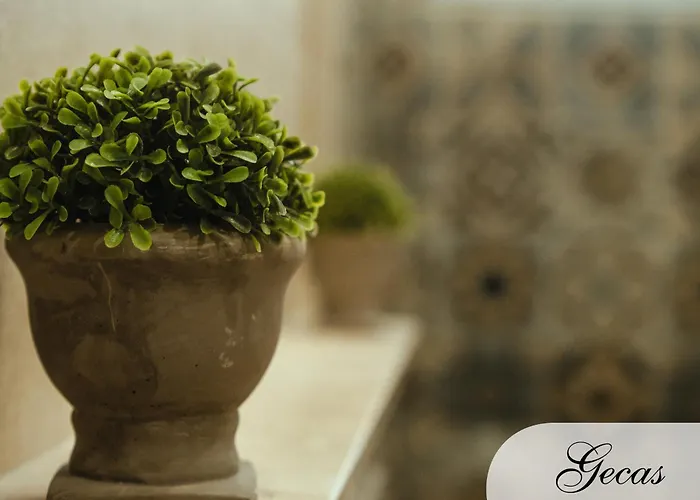 Domus Deianas בית הארחה קליארי